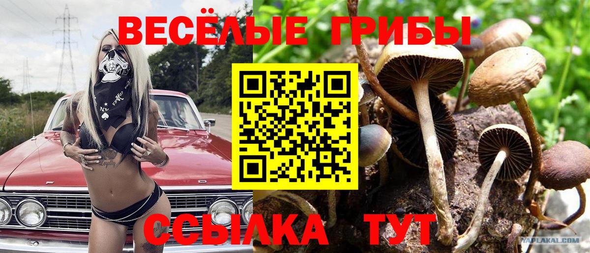 Псилоцибиновые грибы Magic Shrooms  где можно купить   Орёл  Вход с VPN 